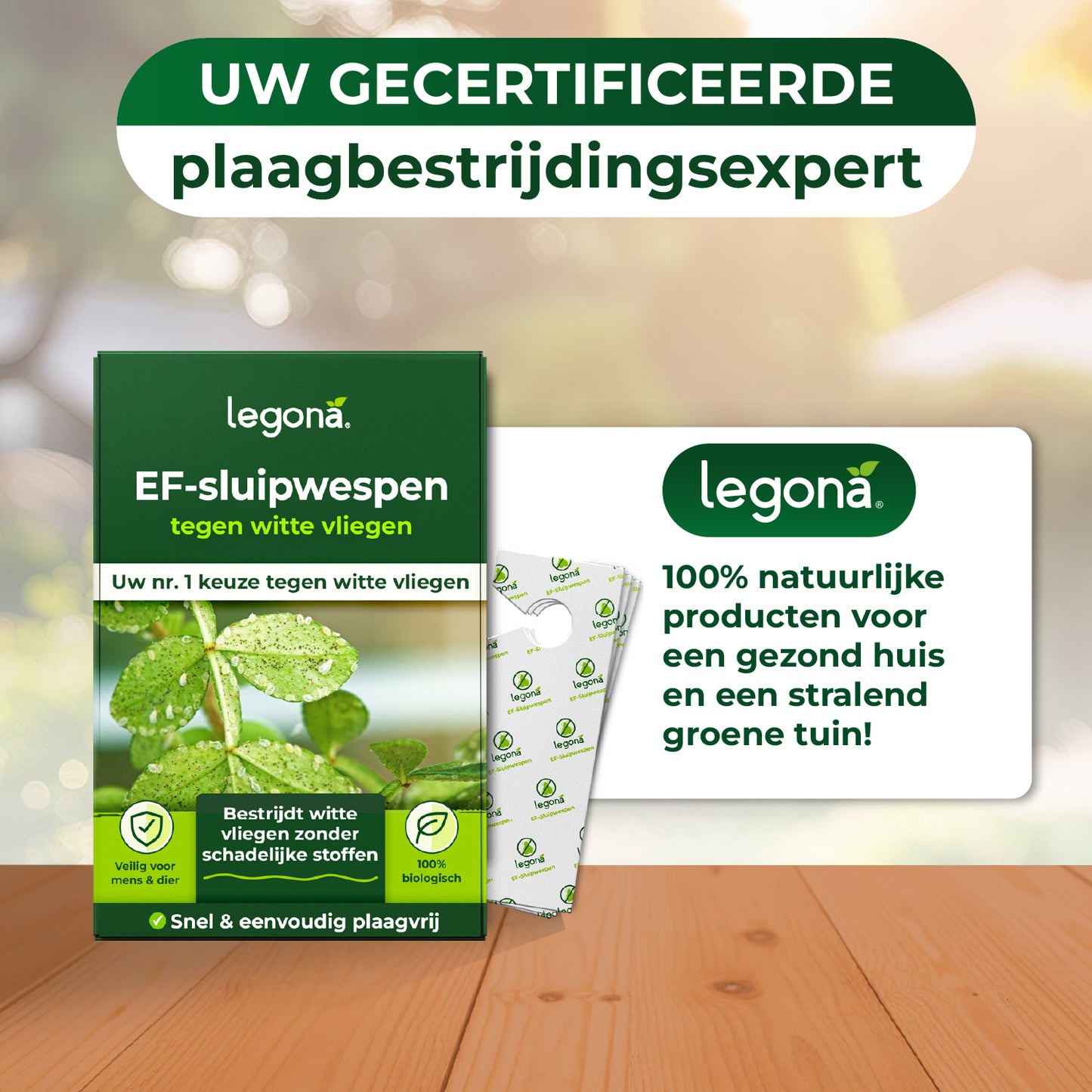 EF-sluipwespen tegen wittevlieg