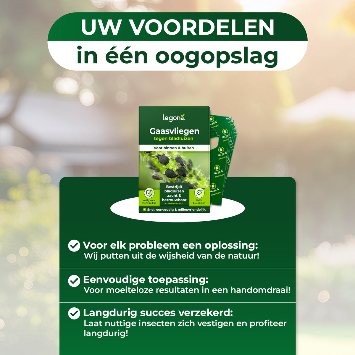 Gaasvlieglarven tegen bladluizen