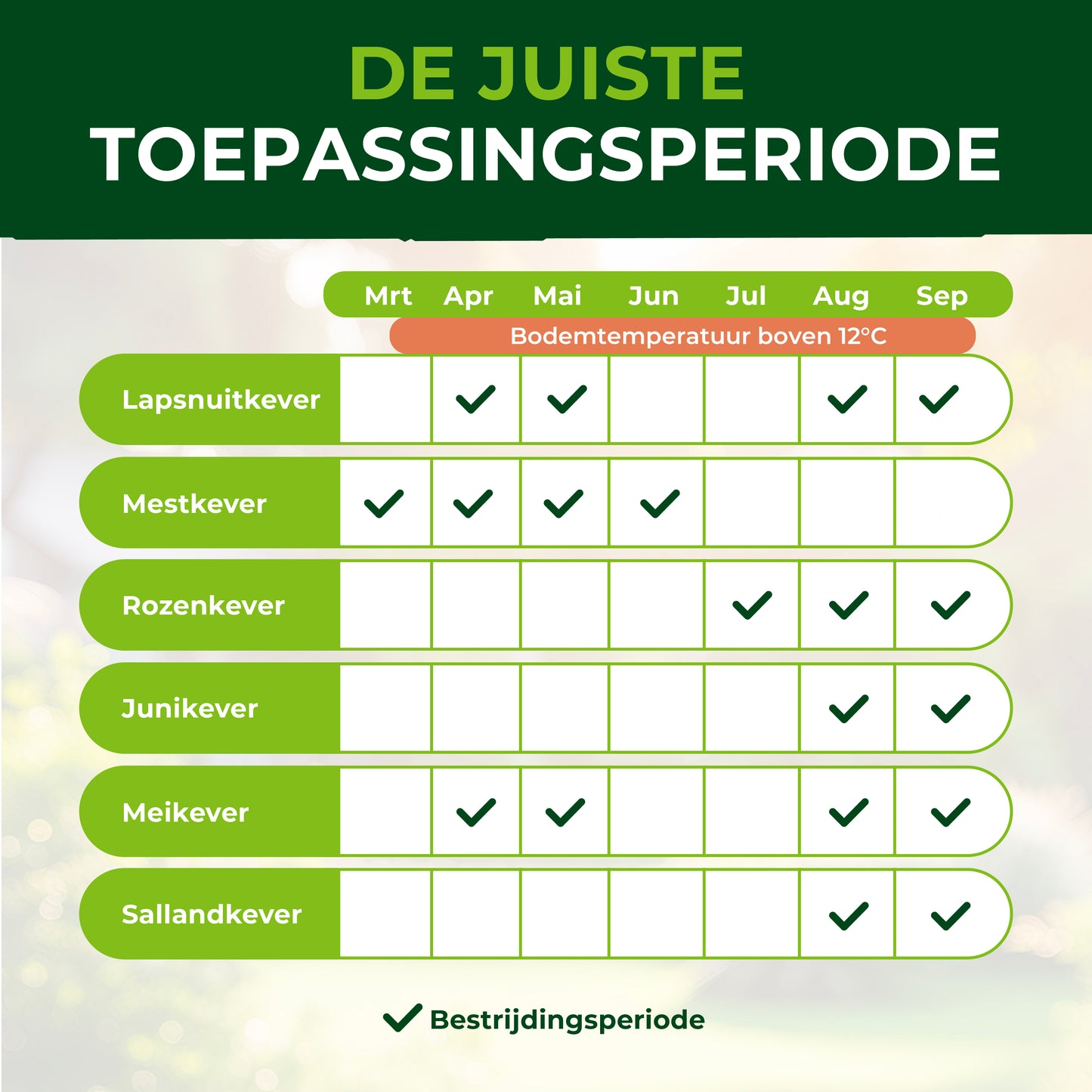 Aaltjes tegen lapsnuitkevers en engerlingen