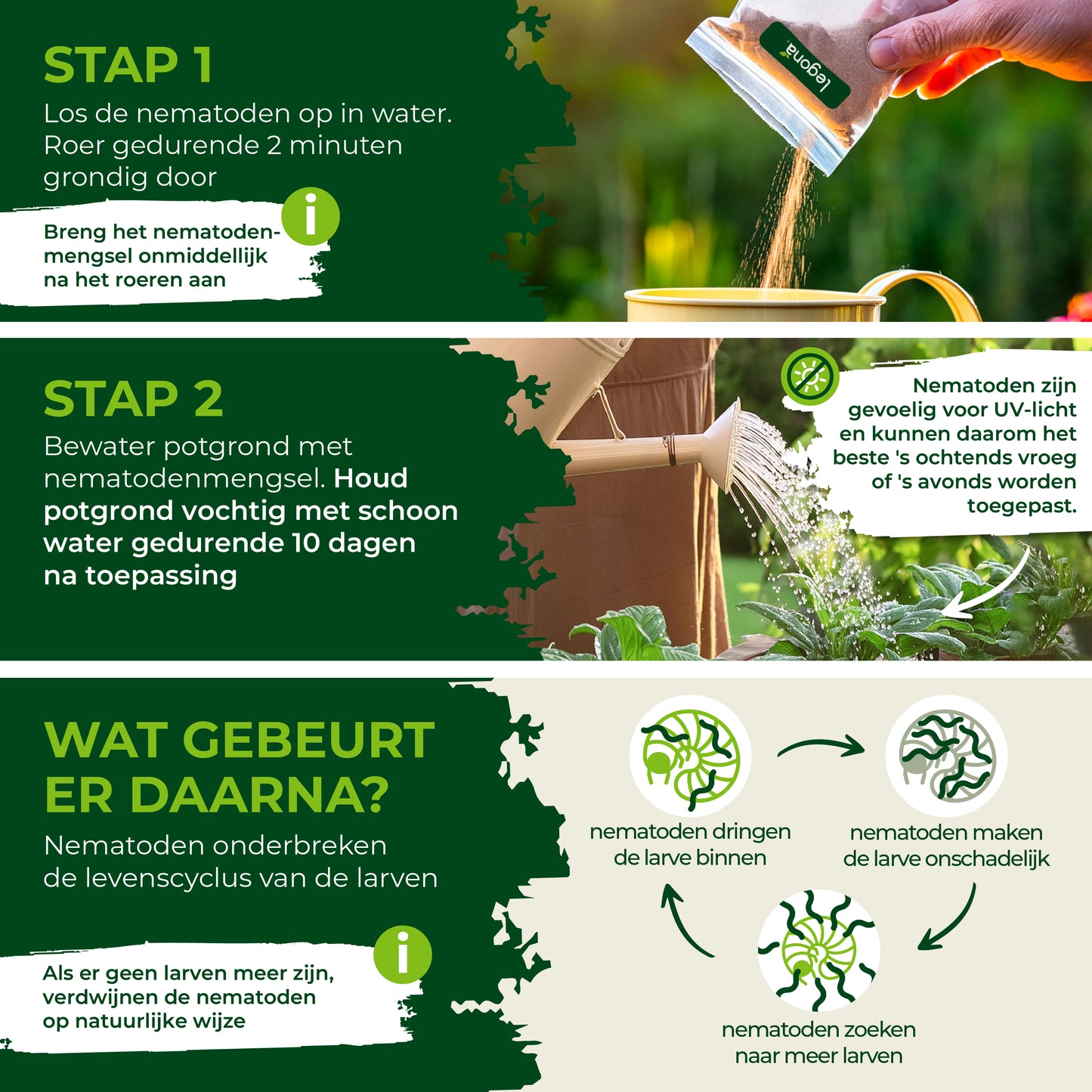 Infographic met drie stappen voor het gebruik van nematoden. Stap 1: 'Roer gedurende 2 minuten grondig door'. Stap 2: 'Bewater potgrond met nematodenmengsel'. Onderdeel 'Wat gebeurt er daarna?' met tekst over nematoden en larven.