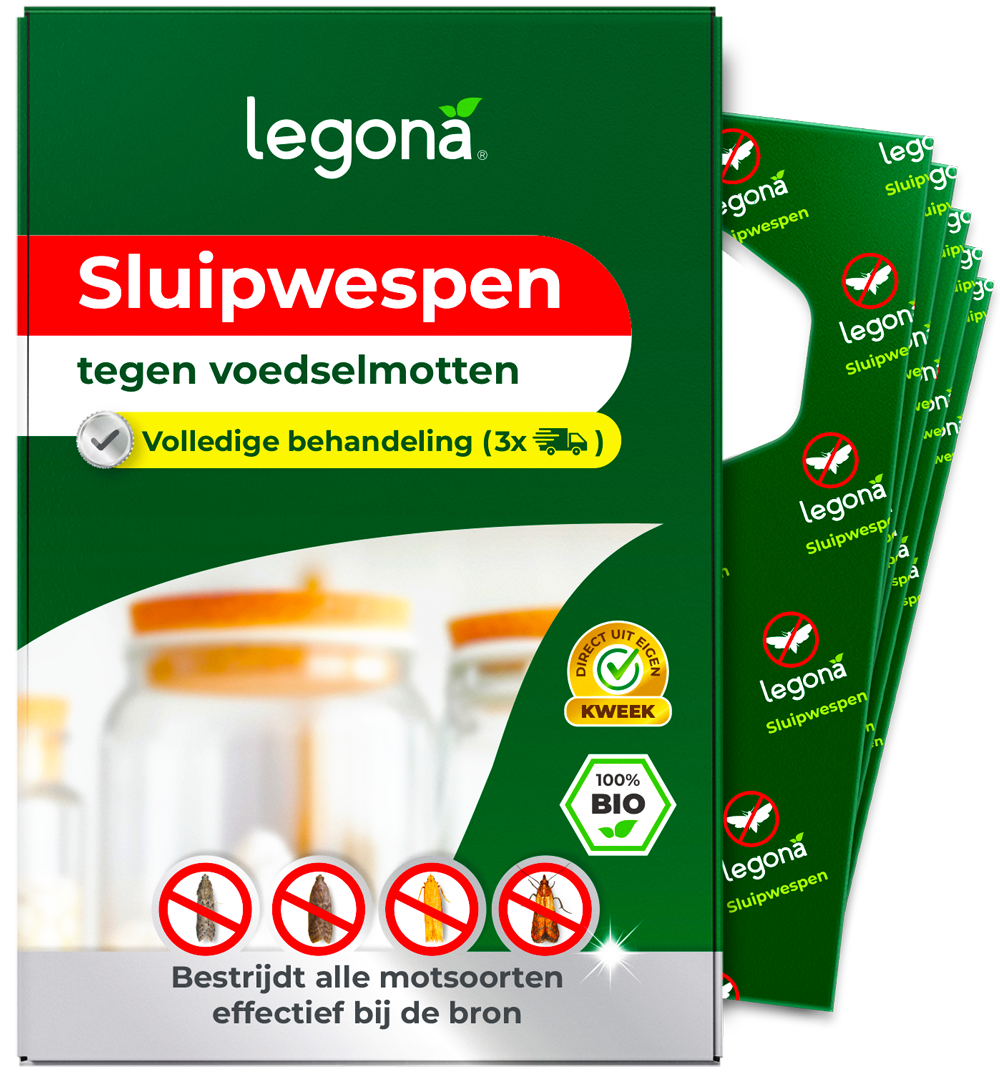 Sluipwespen tegen voedselmotten