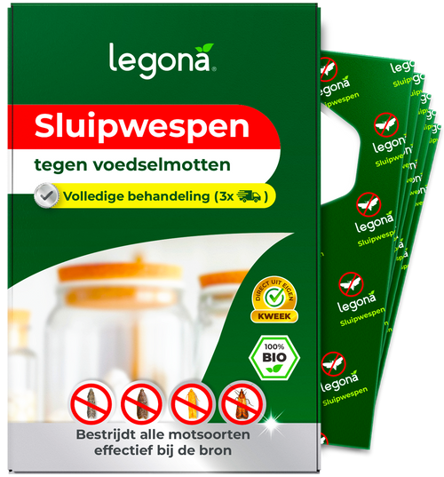 Sluipwespen tegen voedselmotten