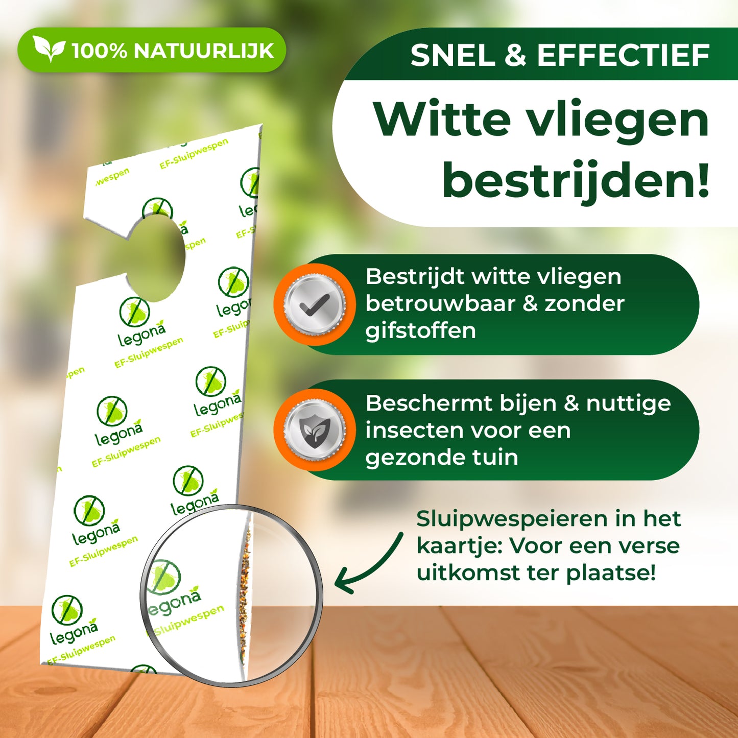 EF-sluipwespen tegen wittevlieg