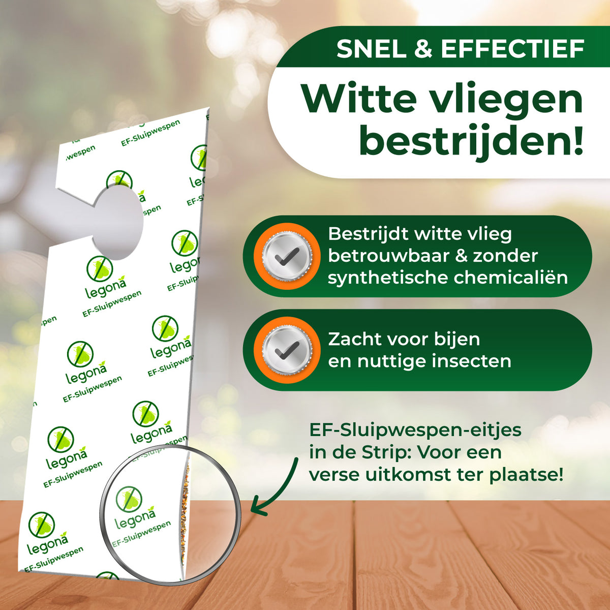 EF-sluipwespen tegen wittevlieg