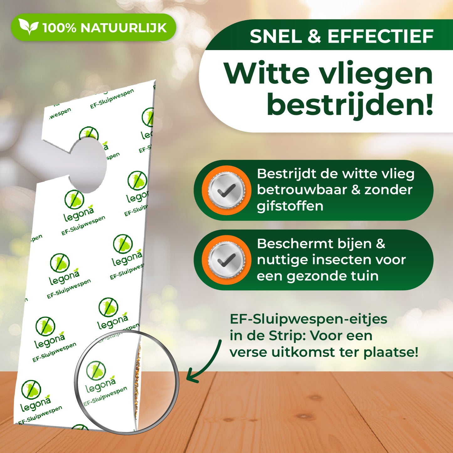 EF-sluipwespen tegen wittevlieg