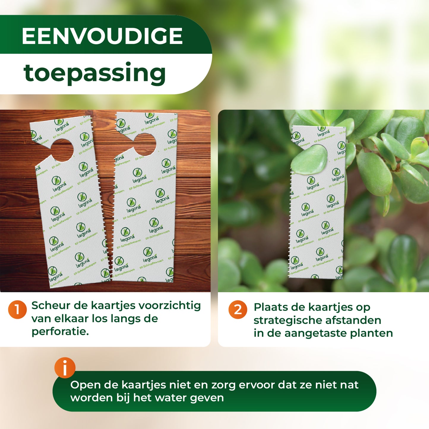 EF-sluipwespen tegen wittevlieg