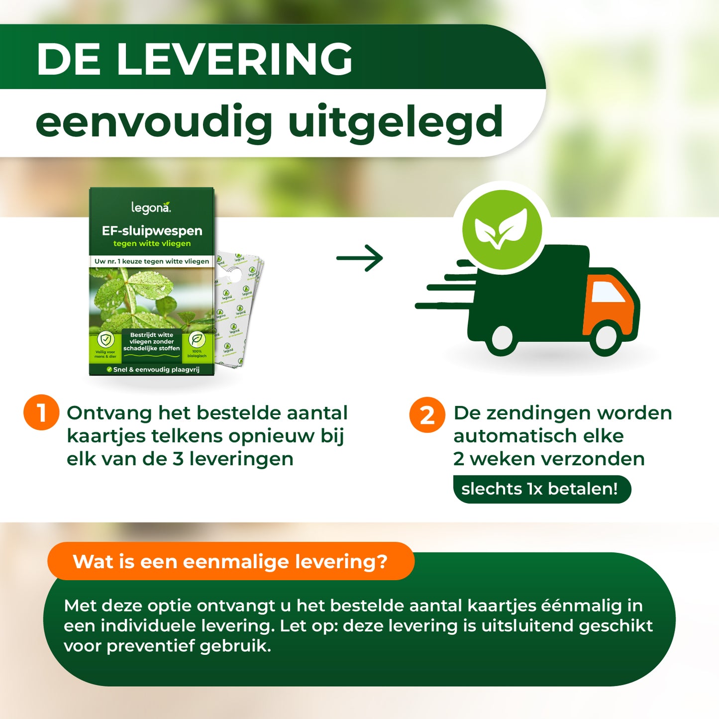 EF-sluipwespen tegen wittevlieg