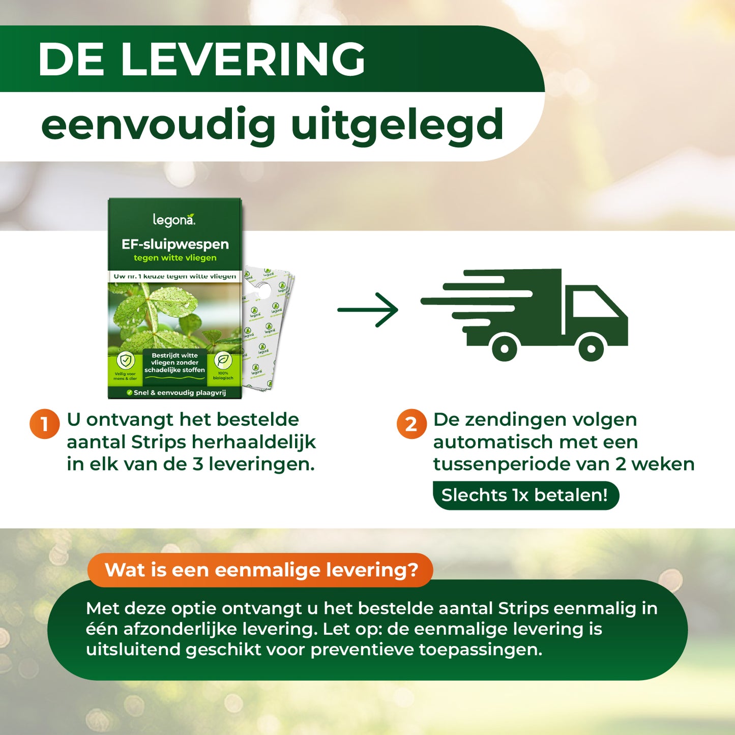 EF-sluipwespen tegen wittevlieg