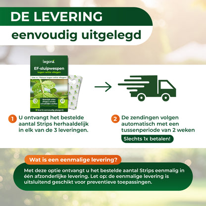 EF-sluipwespen tegen wittevlieg