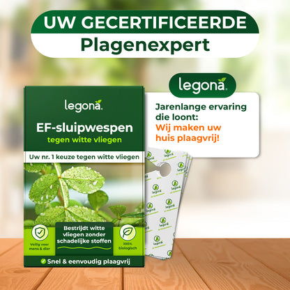 EF-sluipwespen tegen wittevlieg