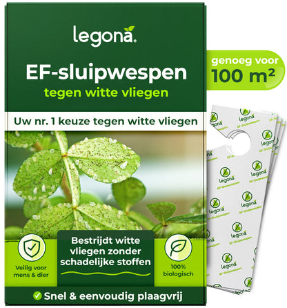 EF-sluipwespen tegen wittevlieg