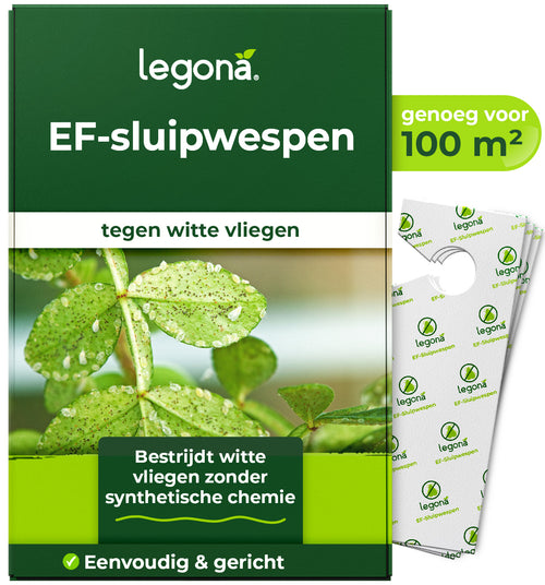 EF-sluipwespen tegen wittevlieg