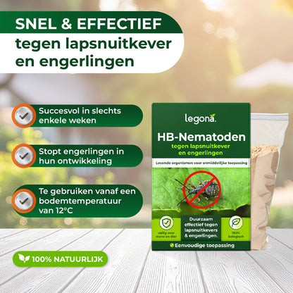 Aaltjes tegen lapsnuitkevers en engerlingen