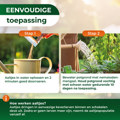 Aaltjes tegen lapsnuitkevers en engerlingen