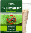 Aaltjes tegen lapsnuitkevers en engerlingen