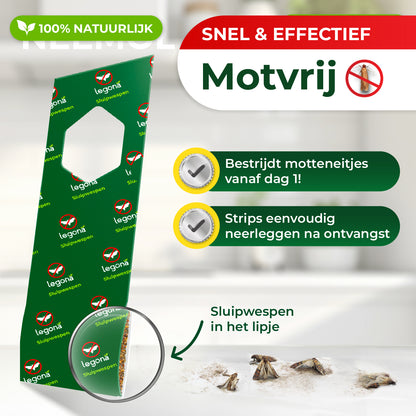 Sluipwespen tegen voedselmotten