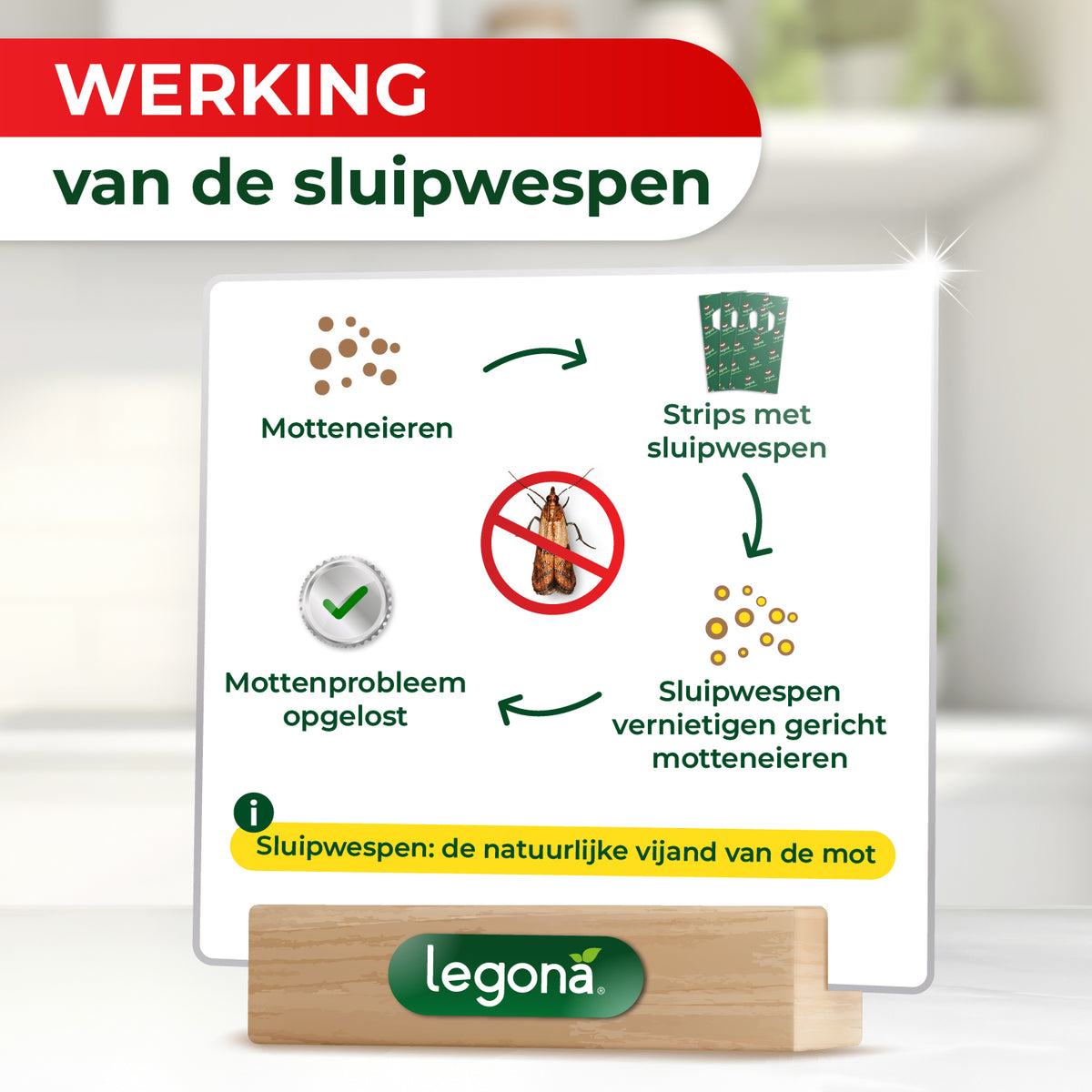 Sluipwespen tegen voedselmotten