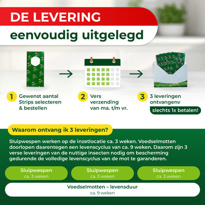 Sluipwespen tegen voedselmotten