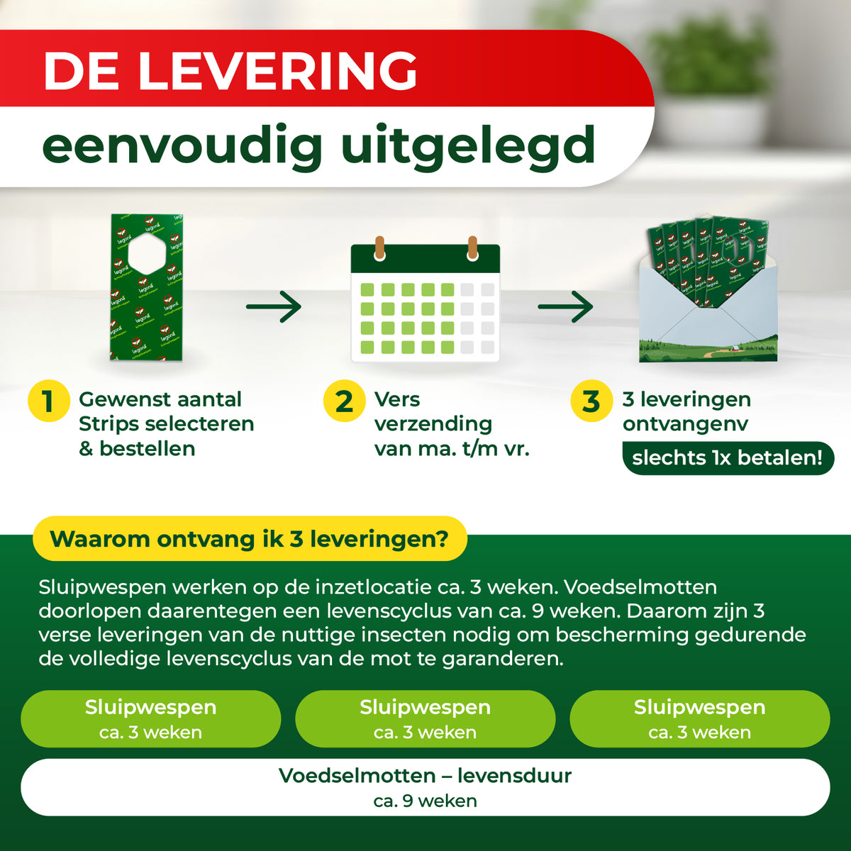 Sluipwespen tegen voedselmotten