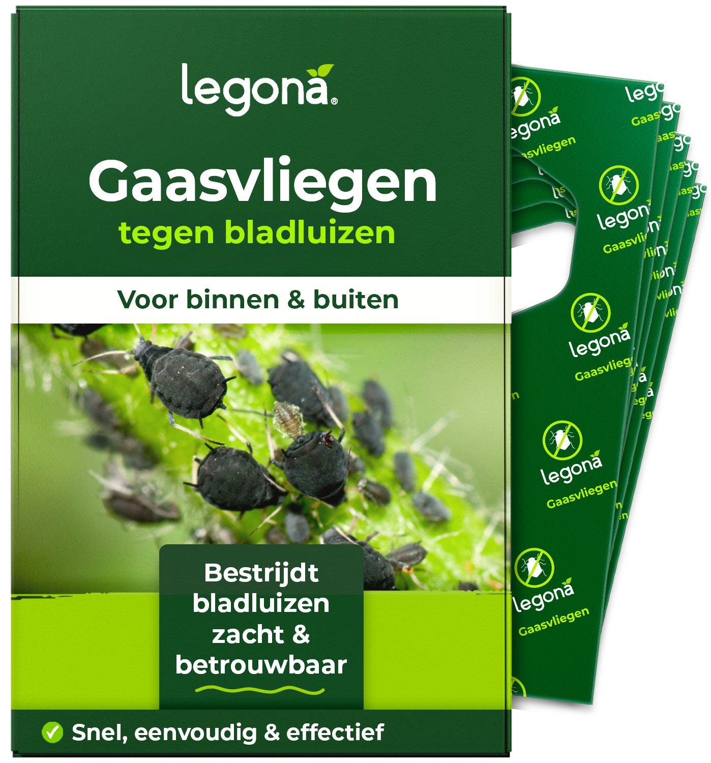 Gaasvlieglarven tegen bladluizen