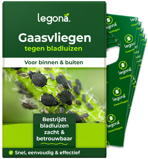 Gaasvlieglarven tegen bladluizen
