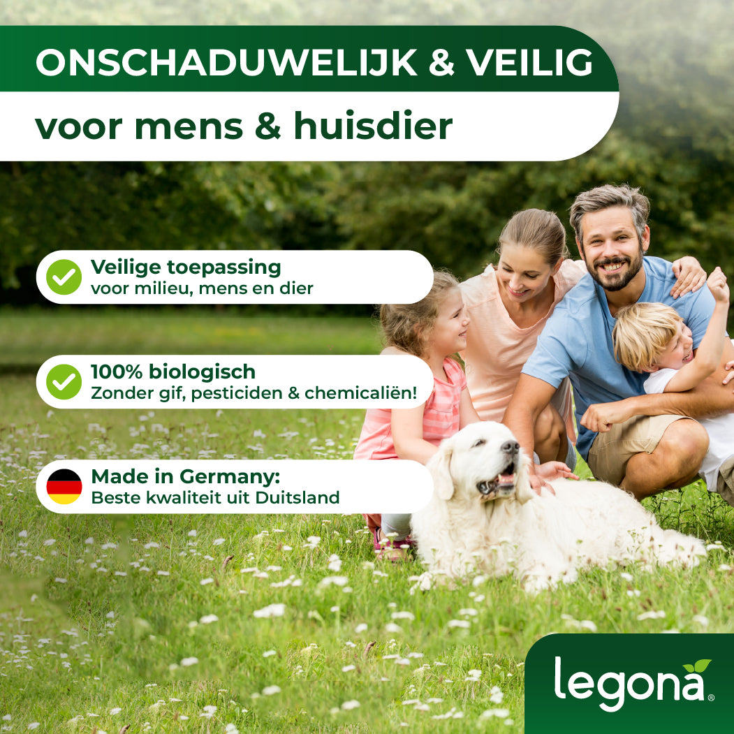 Lieveheersbeestjes tegen bladluizen