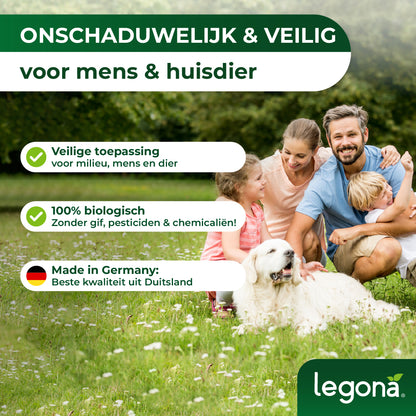 Lieveheersbeestjes tegen bladluizen