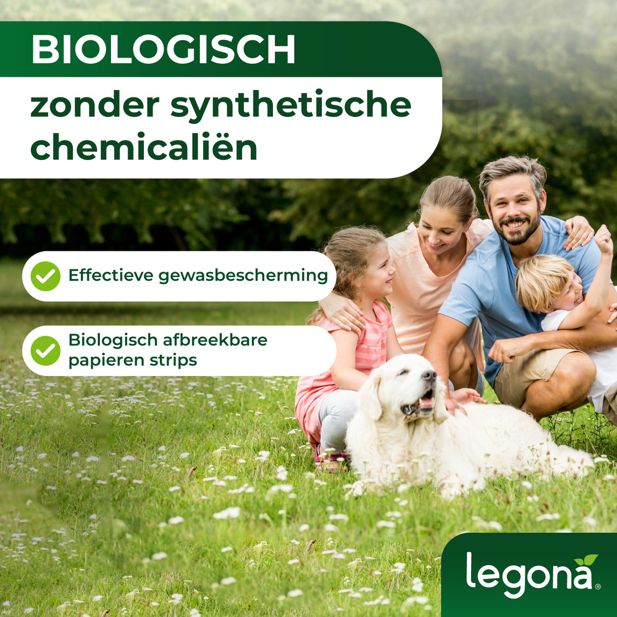 Lieveheersbeestjes tegen bladluizen