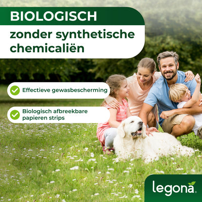 Lieveheersbeestjes tegen bladluizen