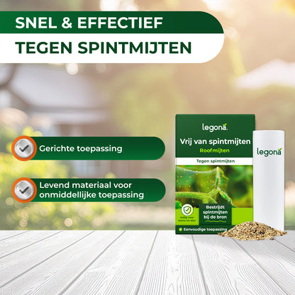 Roofmijten tegen spintmijten