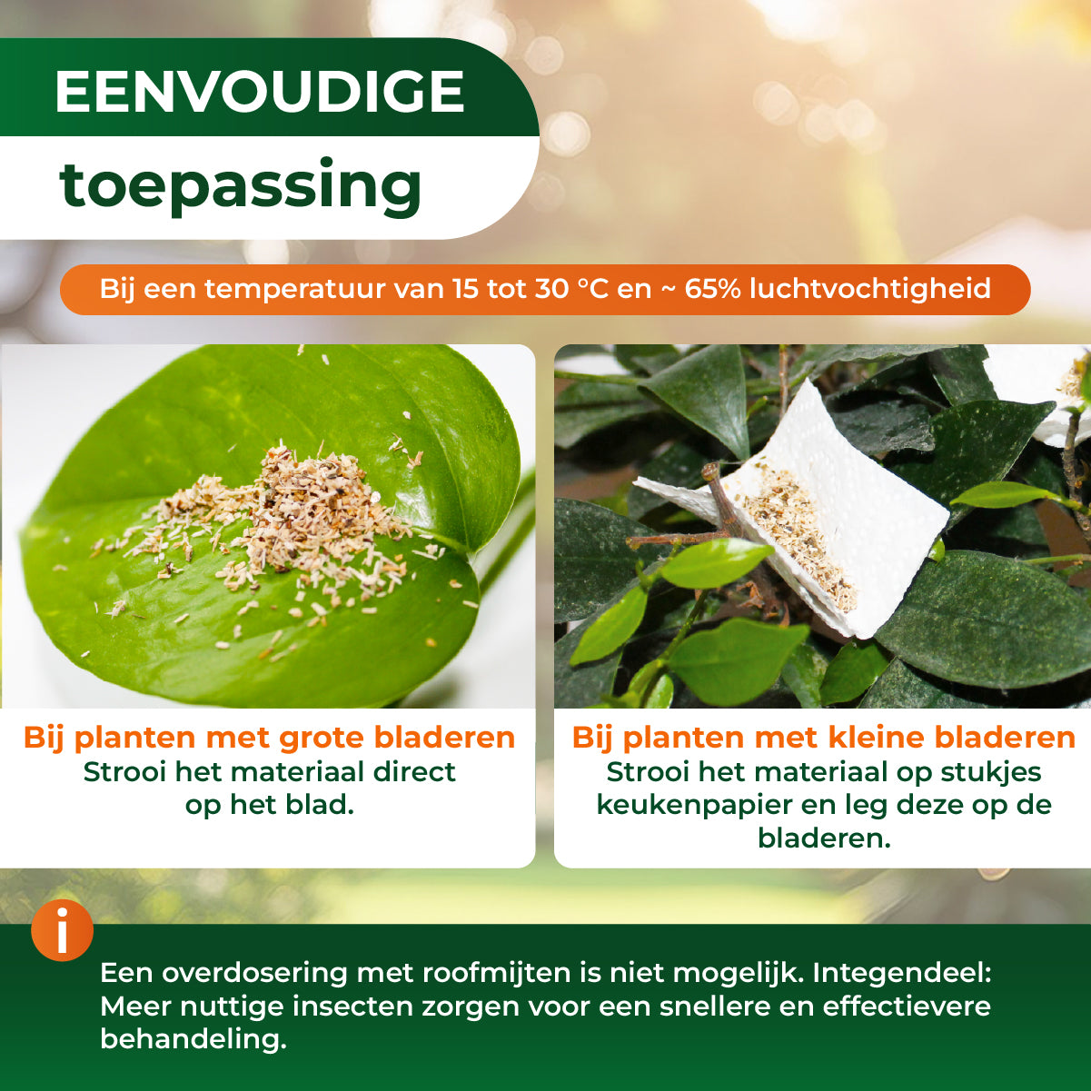Roofmijten tegen spintmijten