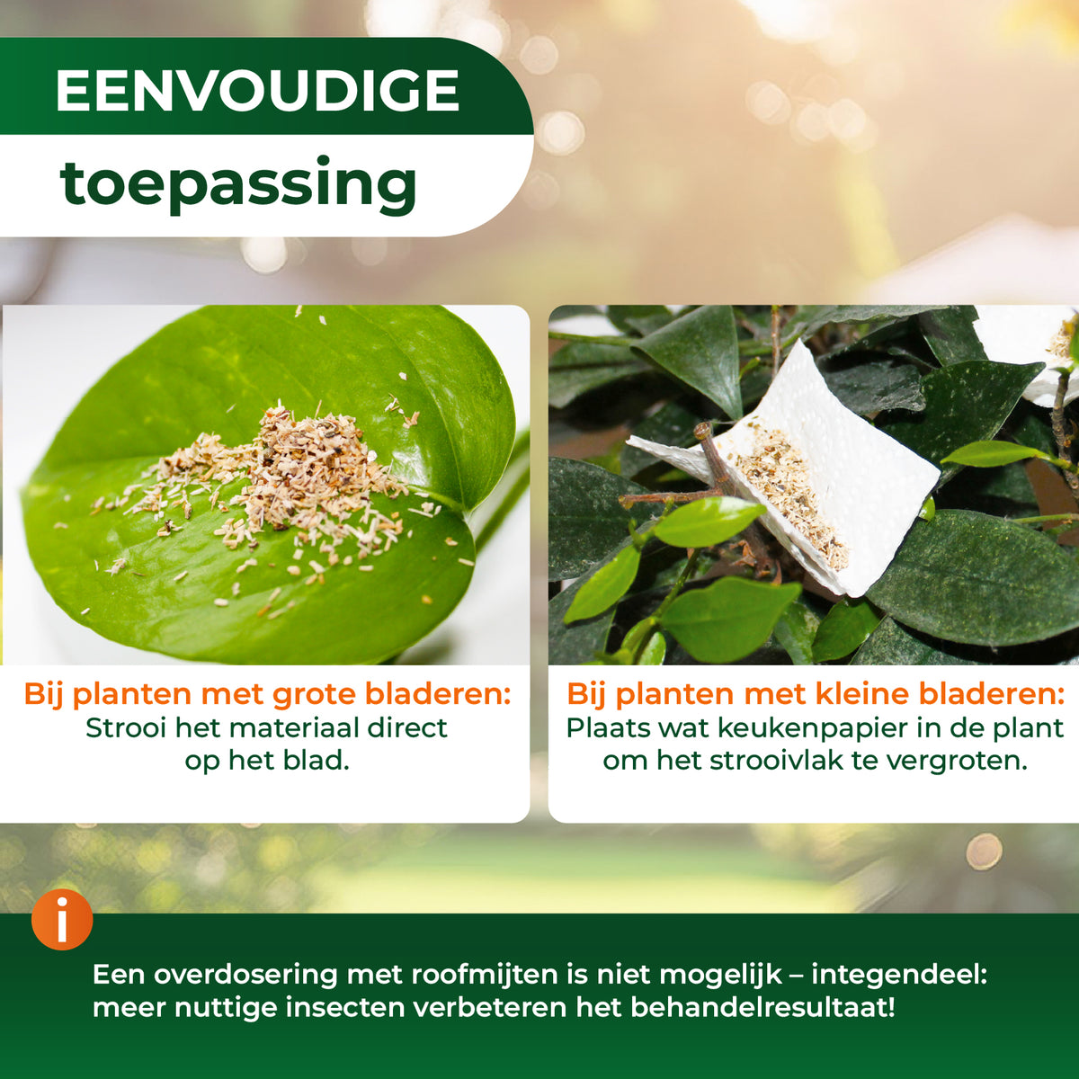 Roofmijten tegen spintmijten