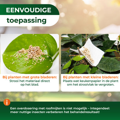Roofmijten tegen spintmijten