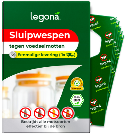 Sluipwespen tegen voedselmotten