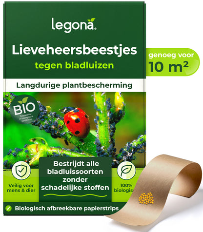 Lieveheersbeestjes tegen bladluizen