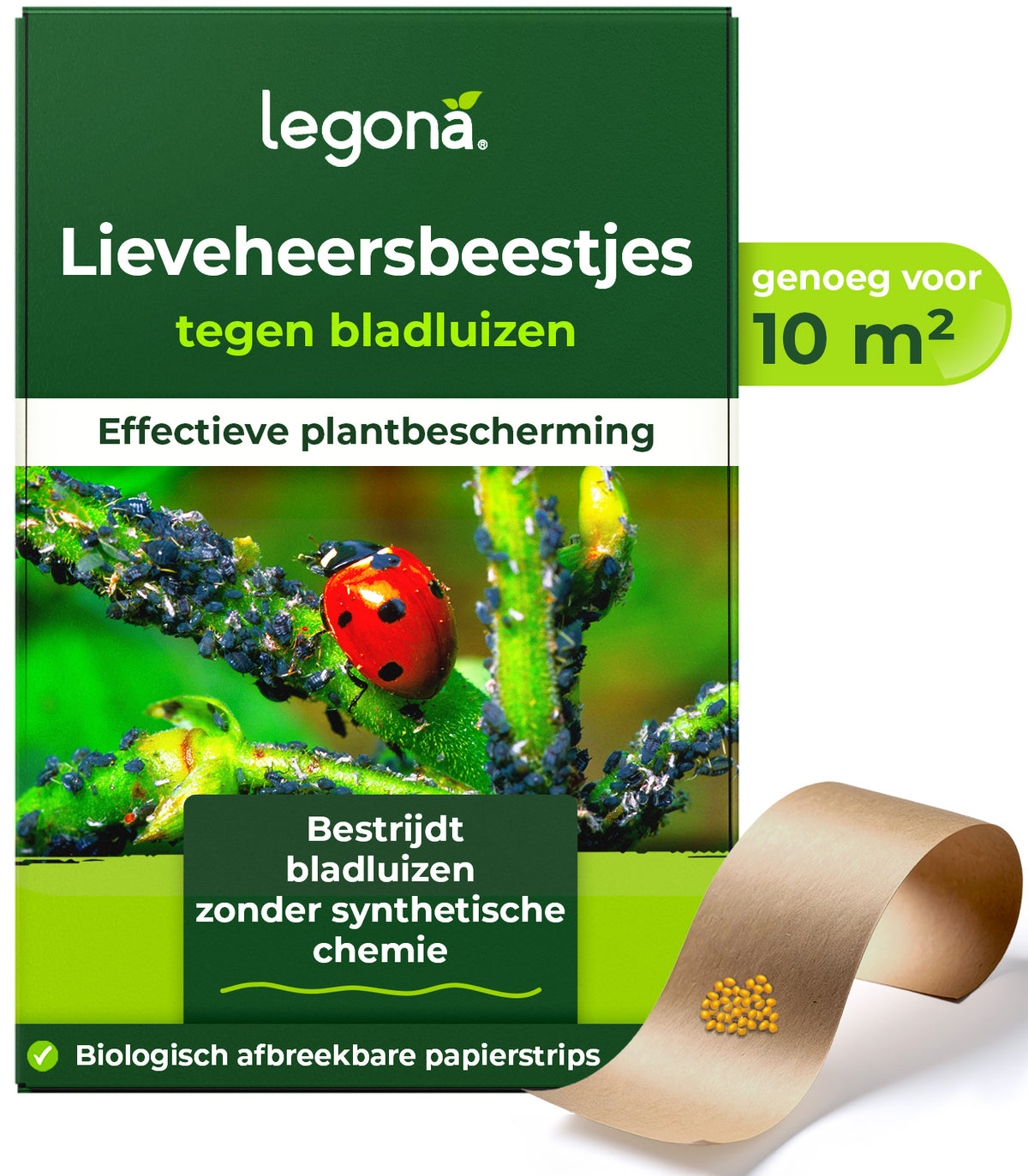 Lieveheersbeestjes tegen bladluizen